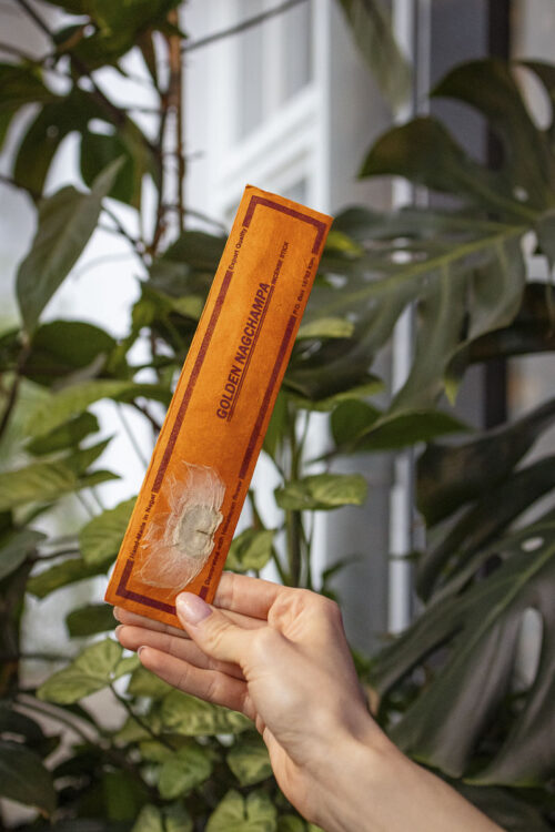 golden-nagchampa-kadzidla-kanasapiens Osoba trzymająca paczkę kadzideł z roślinami w tle