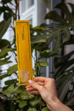 Osoba trzymająca w ręku kadzidełka Yoga w żółtym opakowaniu z papieru czerpanego na tle roślin