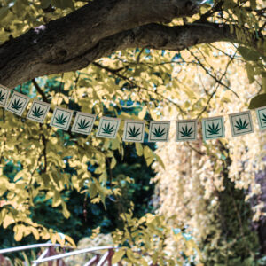 Girlanda z papieru czerpanego z zielonymi stemplami z liściami konopi zawieszona wśród drzew