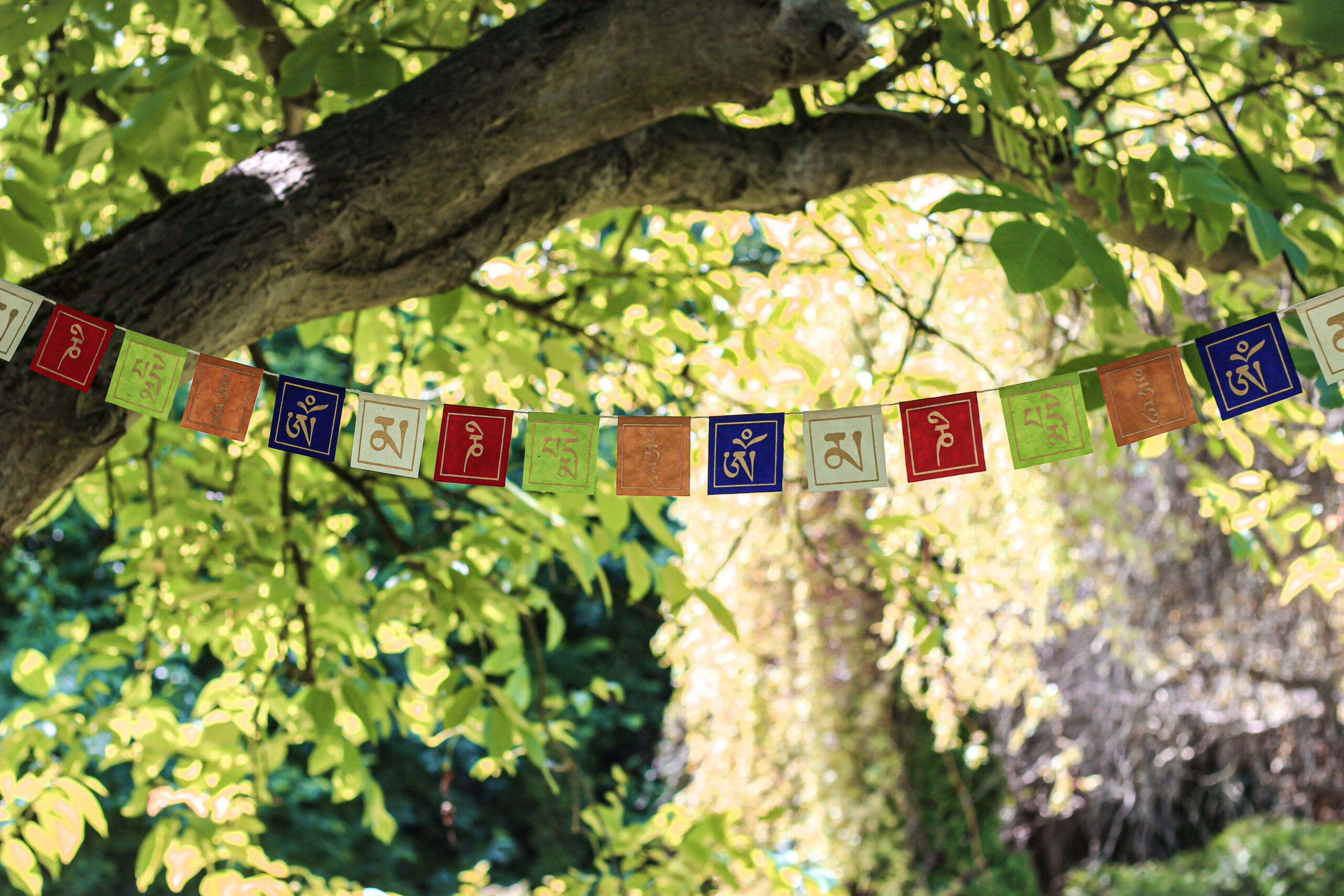 Kolorowa girlanda buddyjska z mantrą Om Mani Padme Hum zawieszona wśród drzew