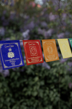 Kolorowa girlanda z symbolami czakr i afirmacjami zawieszona wśrod bzów.