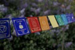 Kolorowa girlanda z symbolami czakr i afirmacjami zawieszona wśrod bzów.