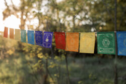 Kolorowa girlanda z symbolami czakr i afirmacjami zawieszona wśrod drzew.