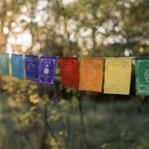 Kolorowa girlanda z symbolami czakr i afirmacjami zawieszona wśrod drzew.