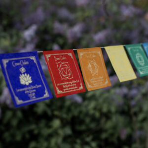 Kolorowa girlanda z symbolami czakr i afirmacjami zawieszona wśrod bzów.