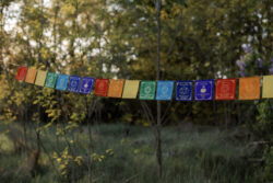 Kolorowa girlanda z symbolami czakr i afirmacjami zawieszona wśrod drzew.