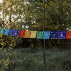 Kolorowa girlanda z symbolami czakr i afirmacjami zawieszona wśrod drzew.