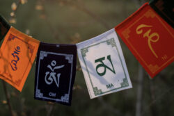 Girlanda z mantrą Om Mani Padme Hum zawieszona na drzewie