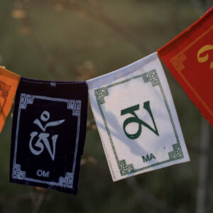 Girlanda z mantrą Om Mani Padme Hum zawieszona na drzewie