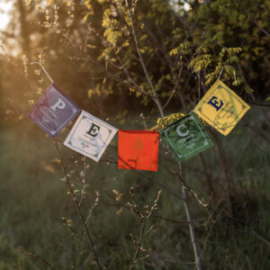 Girlanda z napisem PEACE zawieszona na drzewie