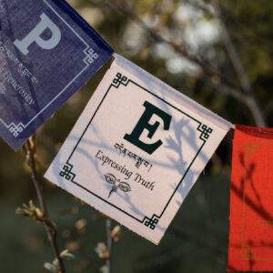 Girlanda z napisem PEACE zawieszona na drzewie