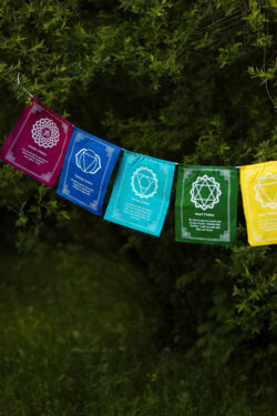 Kolorowa materiałowa girlanda z symbolami czakr i afirmacjami przypisanymi czakrom rozwieszona wśród drzew.