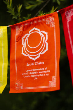 Kolorowa materiałowa girlanda z symbolami czakr i afirmacjami przypisanymi czakrom rozwieszona wśród drzew.