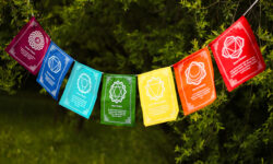 Kolorowa materiałowa girlanda z symbolami czakr i afirmacjami przypisanymi czakrom rozwieszona wśród drzew.