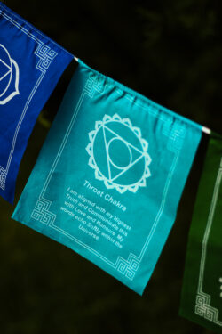 Turkusowa flaga z symbolem Czakry Gardła i afirmacją dedykowaną tej czakrze na tle zieleni