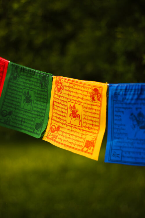 Girlanda - Lungta Tybetańskie flagi modlitewne Lungta rozwieszone wśród drzew.