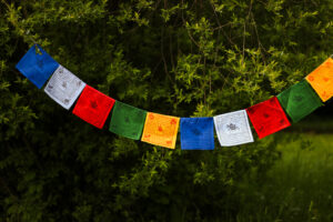 Tybetańskie flagi modlitewne Lungta rozwieszone wśród drzew.