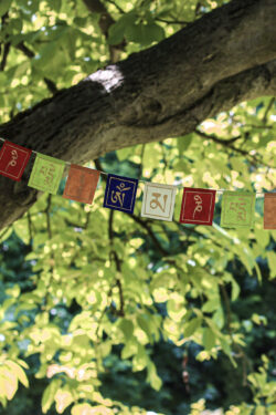 Girlanda z papieru czerpanego z symbolem mantry Om Mani Padme Hum rozwieszona wśród drzew.