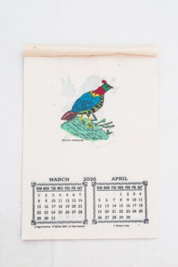 Kalendarz ścienny 2026 - Ptaki