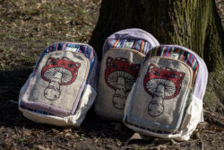 Trzy kolorowe plecaki leżą na ziemi przy drzewie, mają beżowe kieszenie po bokach, są wielkości A4 i wykonane z bawełny gheri oraz konopi, na przedniej kieszeni znajduje się ilustracja muchomora o podobiźnie kota